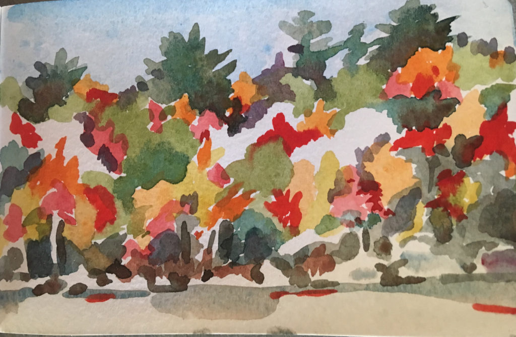Linda's watercolor autumn colors