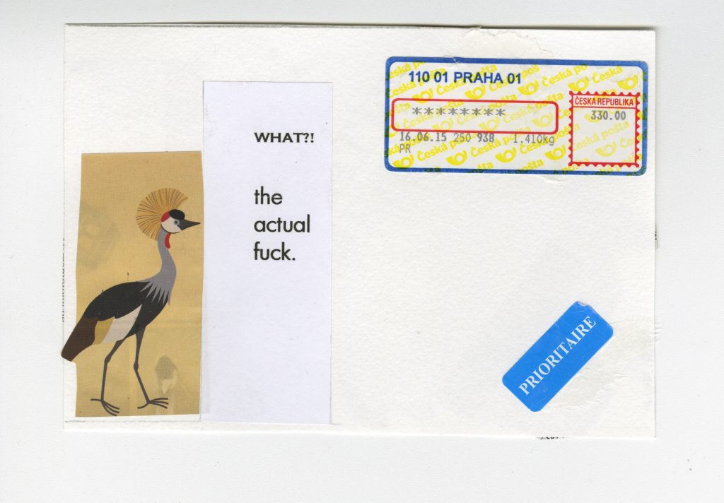 postcard reading what the actual fuck