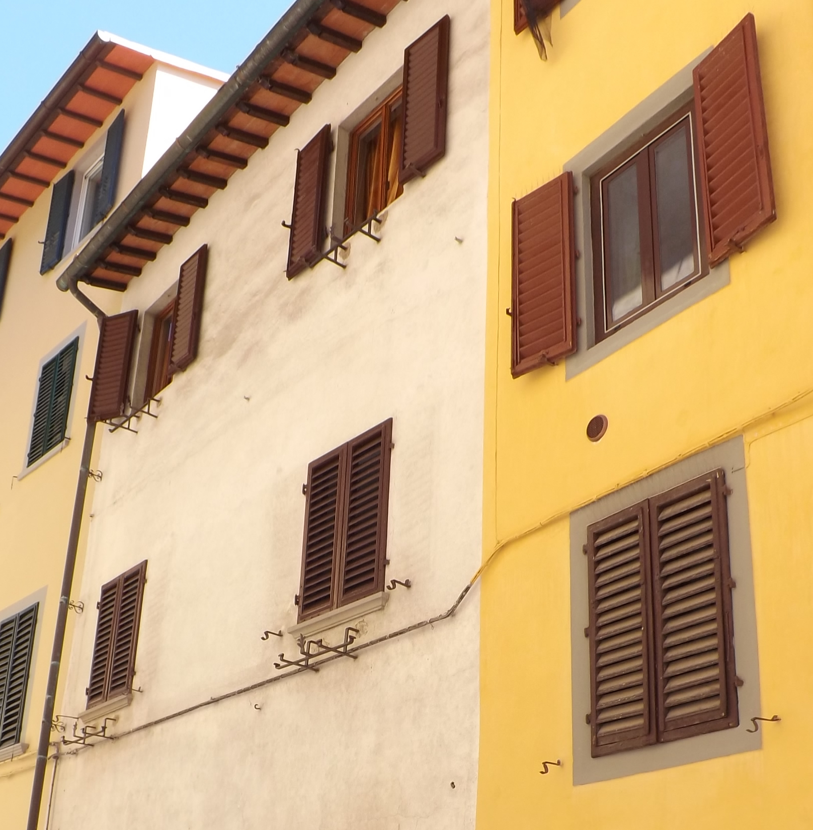 Loy's Italian Baedeker Shutters in Florence