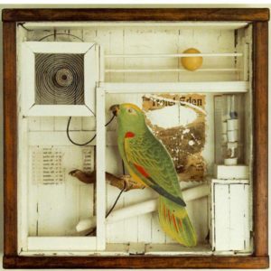 cornell box with parrot